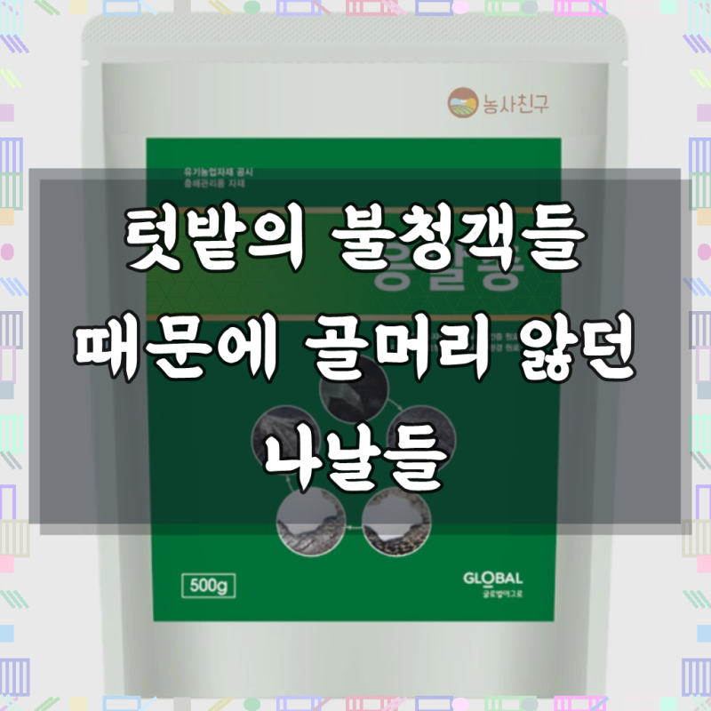 농사친구 응달총 500g 규조토 효과 달팽이 민달팽이 퇴치