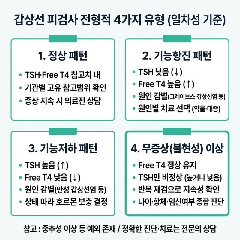 갑상선 기능 저하증 vs 항진증 차이는? 피검사 TSH·Free T4 수치 읽는 법