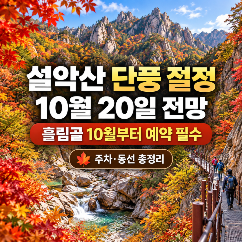 설악산 흘림골 10월1일부터 예약제｜하루 5천명·시간대 정리