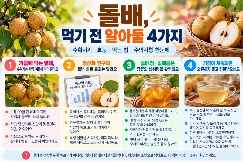 돌배 효능, 목에 좋다는데? 수확시기·먹는 법과 돌배청 당류까지