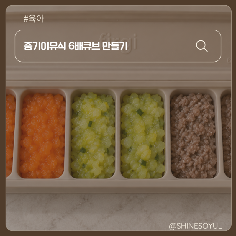 7개월 아기 중기이유식 6배죽 이유식큐브 만들기