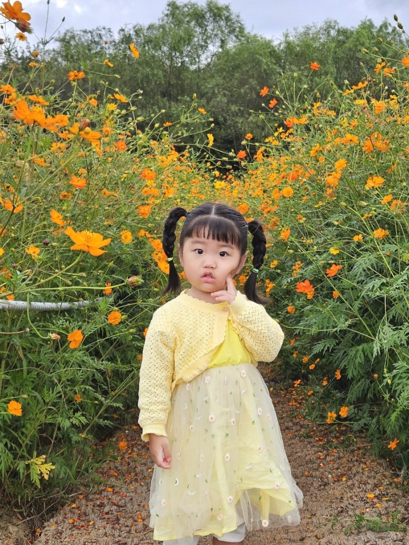 경주 보문단지카페 아이랑 가볼만한곳 아기랑 데이트 코스모스 카페 야드