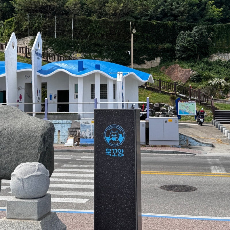 [동해] 당일치기 동해묵호여행 코스 추천 (온다 문어해물철판-논골담길-무코야선물가게-카페....
