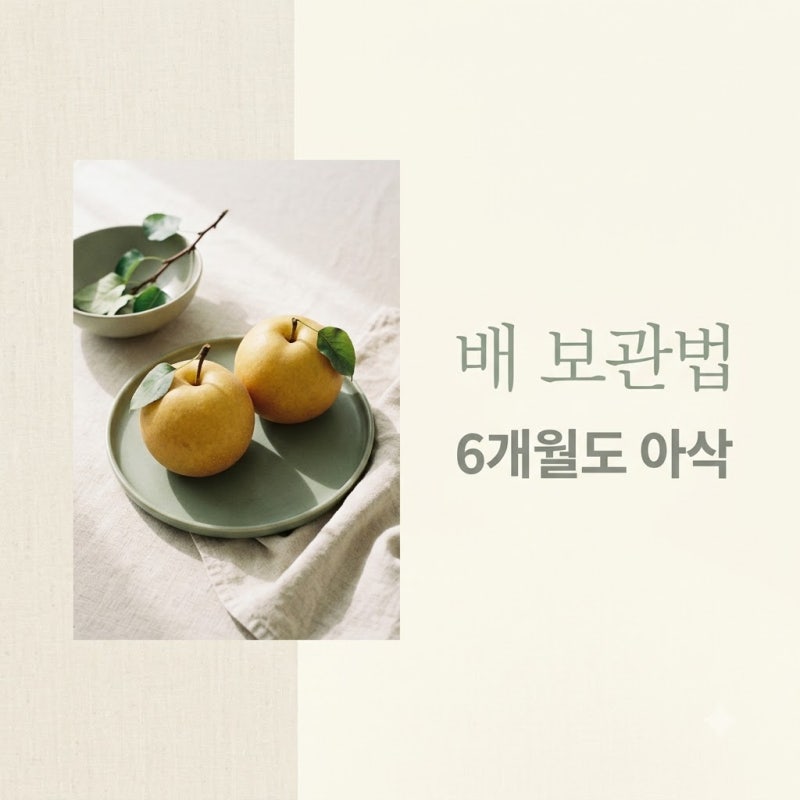 "다 썩어서 버렸는데.." 배보관법김치냉장고 보관할 때 '이것' 하나로 6개월도 아삭하게..
