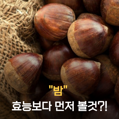 밤 효능 좋다는데, "견과류처럼 먹으면 놓치는 한 가지"