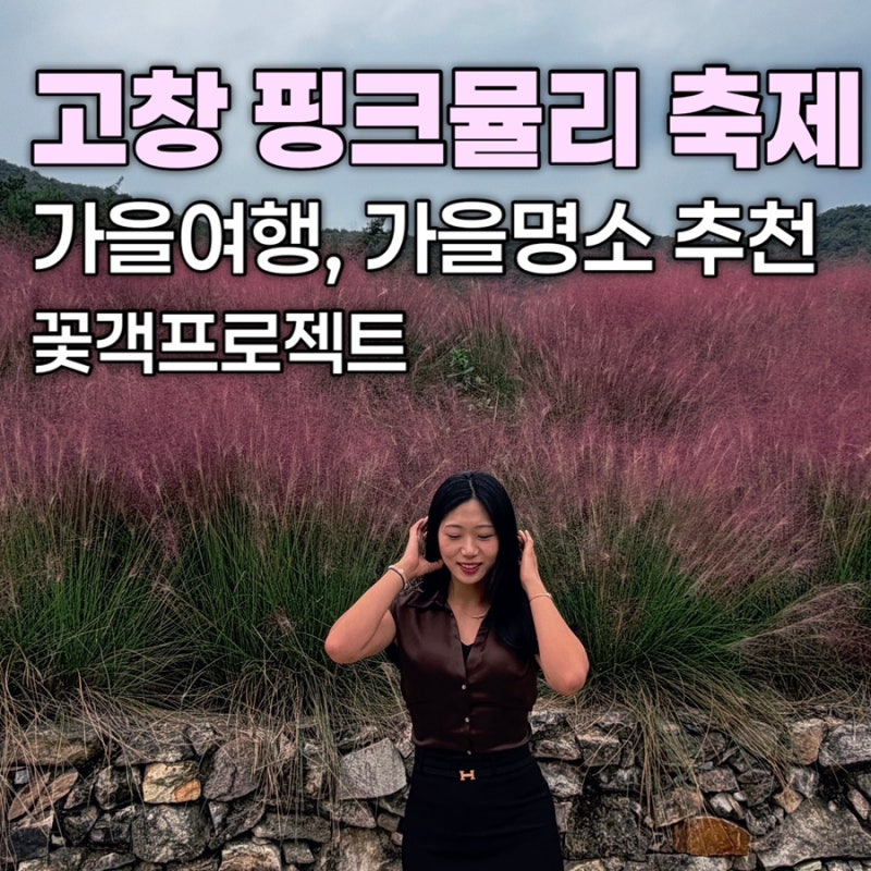 전북 고창 핑크뮬리｜꽃객프로젝트, 가을에 꼭 가봐야 할 고창 여행지