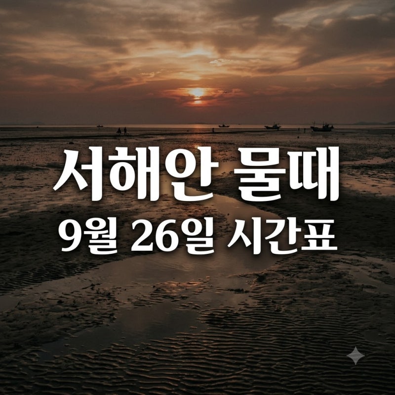 "모르고 가면 헛걸음".. 서해안물때표 9월 26일 황금 시간대 정체는?