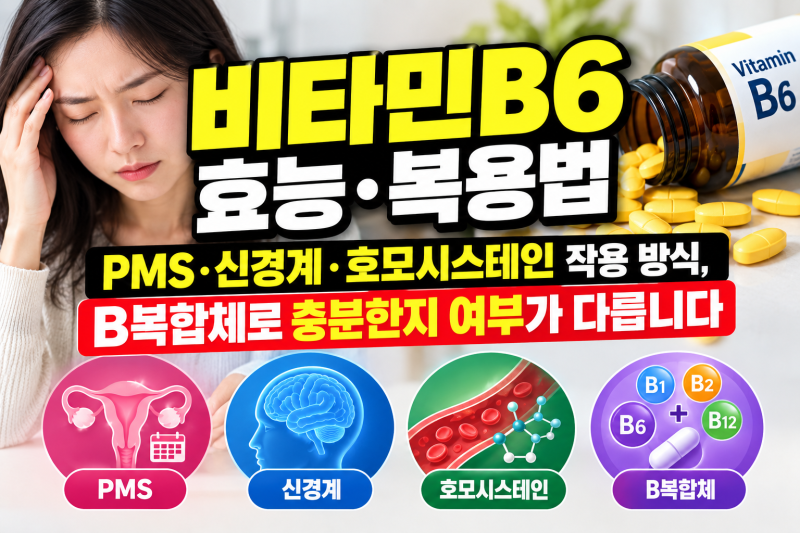 비타민B6 효능·복용법 — PMS·신경계·호모시스테인 작용 방식, B복합체로 충분한지 여부가 ....