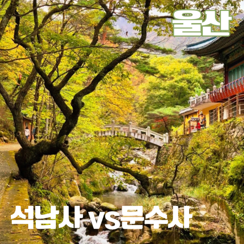 울산절 가볼만한곳 가지산 석남사 문수산 문수사 가을 사찰여행