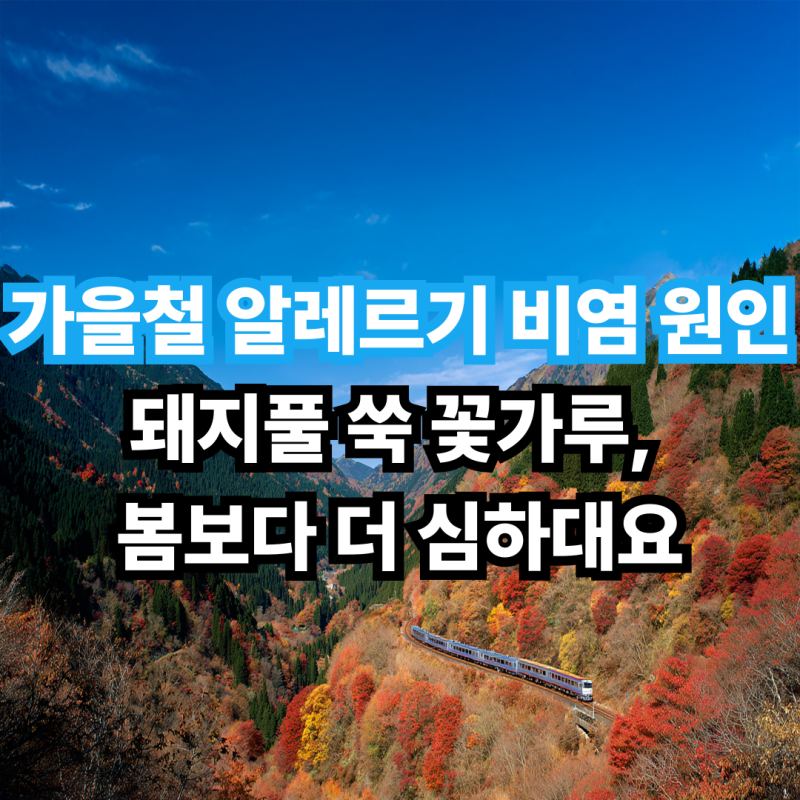 가을철 알레르기 비염 원인 돼지풀 쑥 꽃가루, 봄보다 더 심하대요