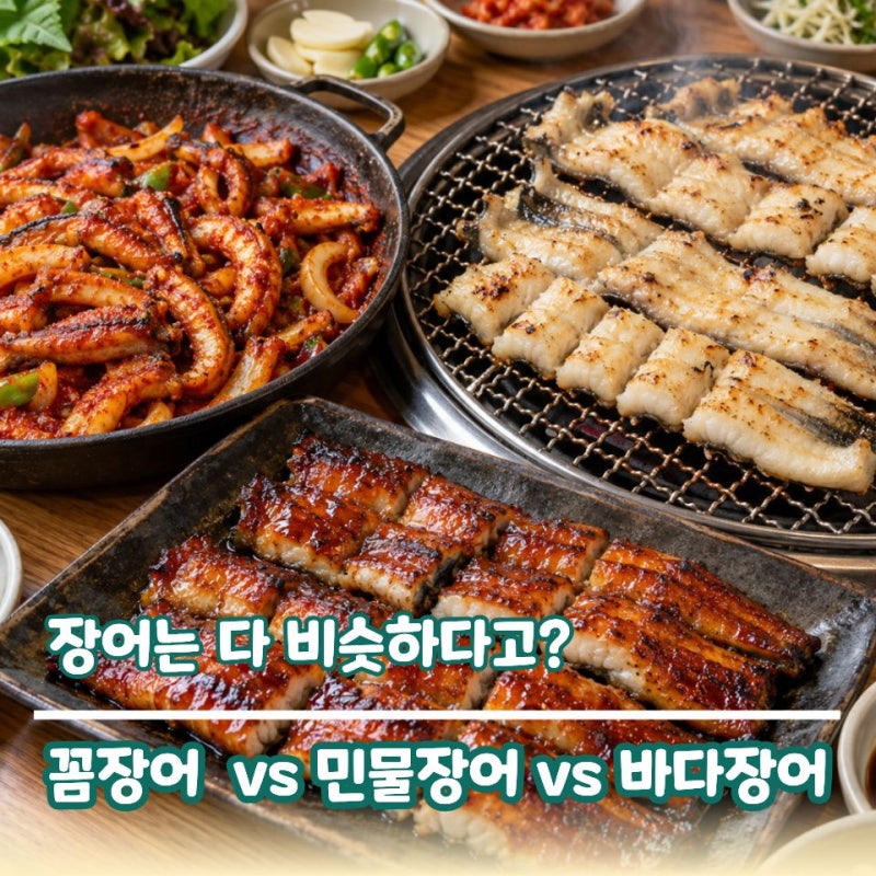 장어 먹으러 가기 전 "이것"만 보세요… 꼼장어·민물장어·바다장어 차이