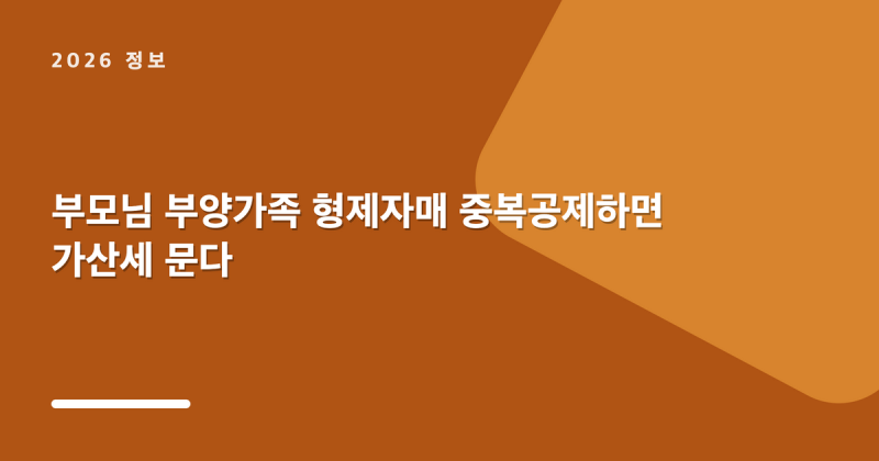 부모님 부양가족 형제자매 중복공제하면 가산세 문다