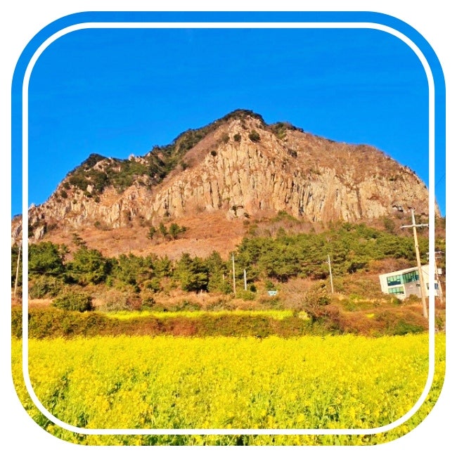 처음 접한 전기전자통신공학 개론 실생활 활용법