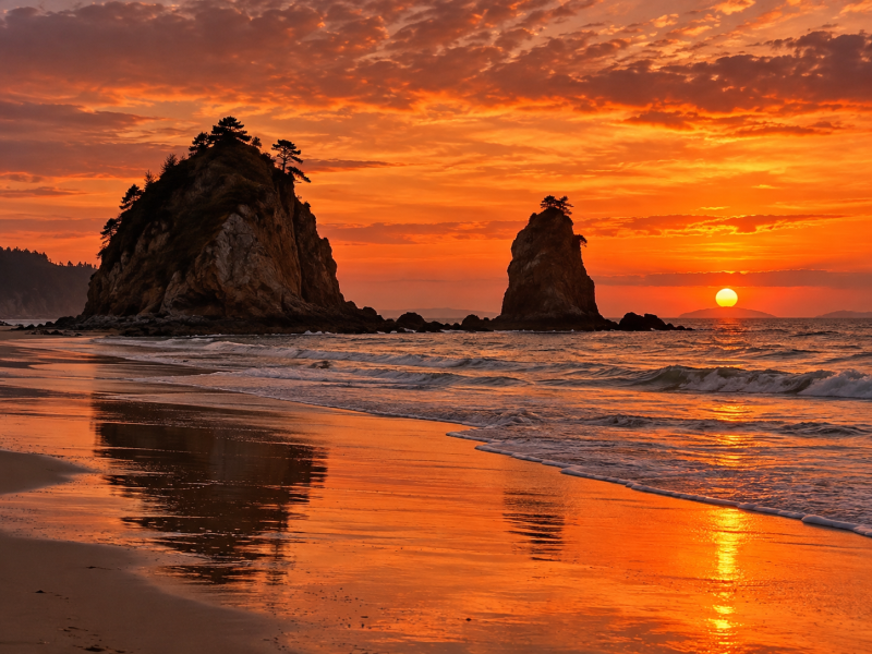 Early Winter in Taean, Chungcheongnam-do: A Beautiful West Coast Trip as the Wind Gets Colder