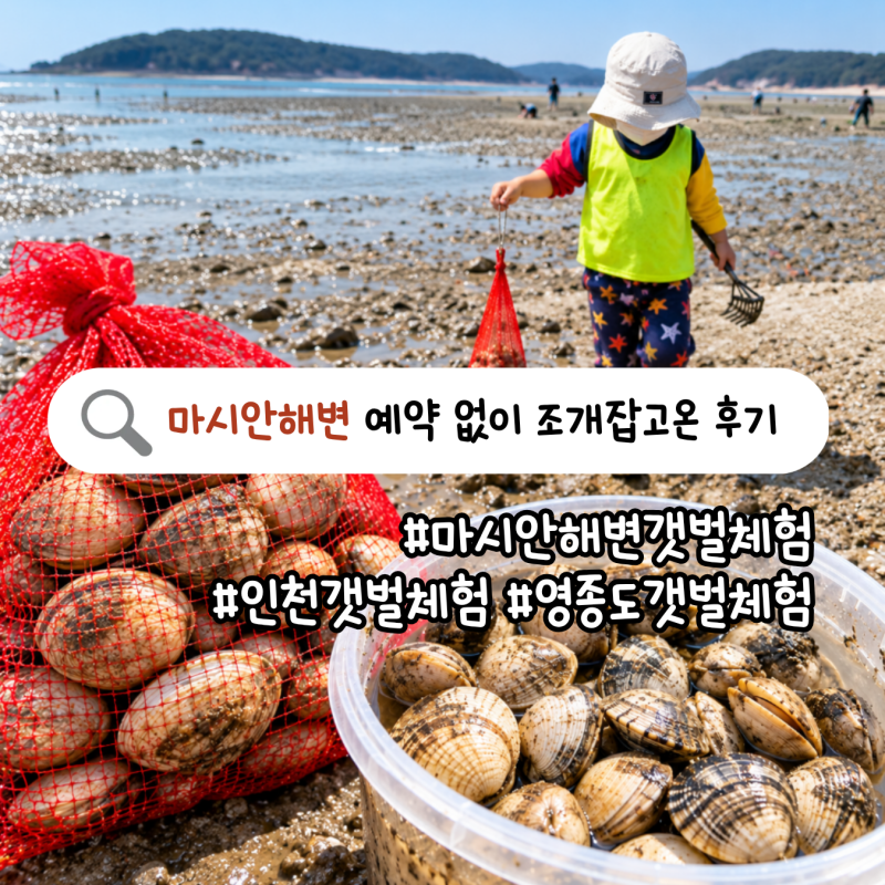 Mashian Tidal Flat Experience: Clam Digging with Kids Review | Tide Times, Price, Rain Boot Rental