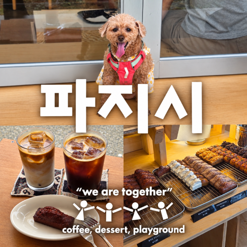 [전북_군산]파지시_테라스가 이쁜 애견동반 가능 카페
