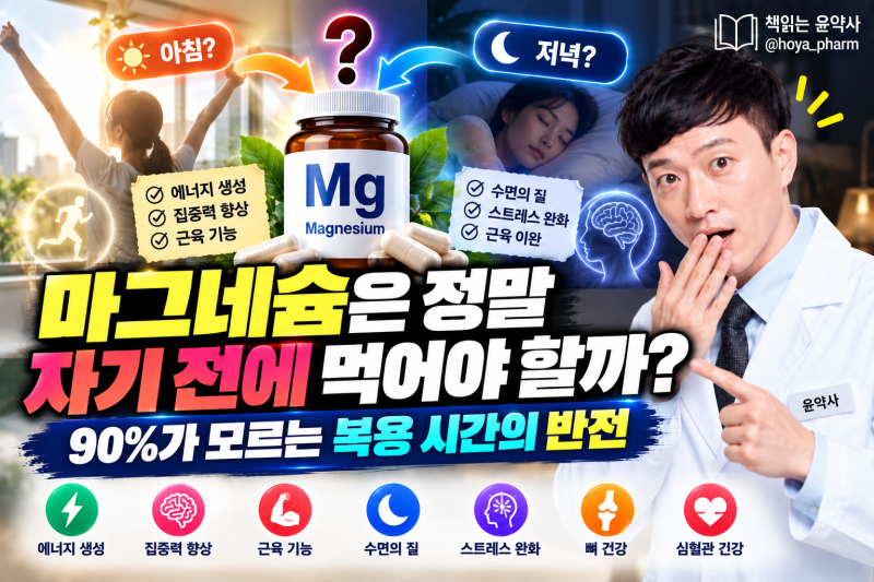 마그네슘은 정말 자기 전에 먹어야 할까? 90%가 모르는 복용 시간의 반전