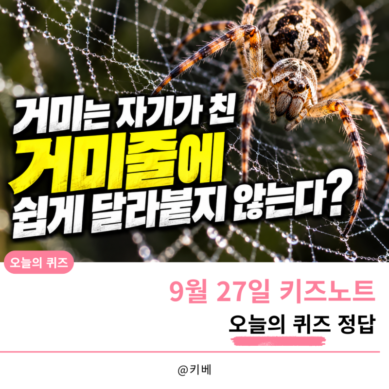 거미는 자기가 친 거미줄에 쉽게 달라붙지 않는다? 9월 27일 키즈노트 오늘의 퀴즈 정답
