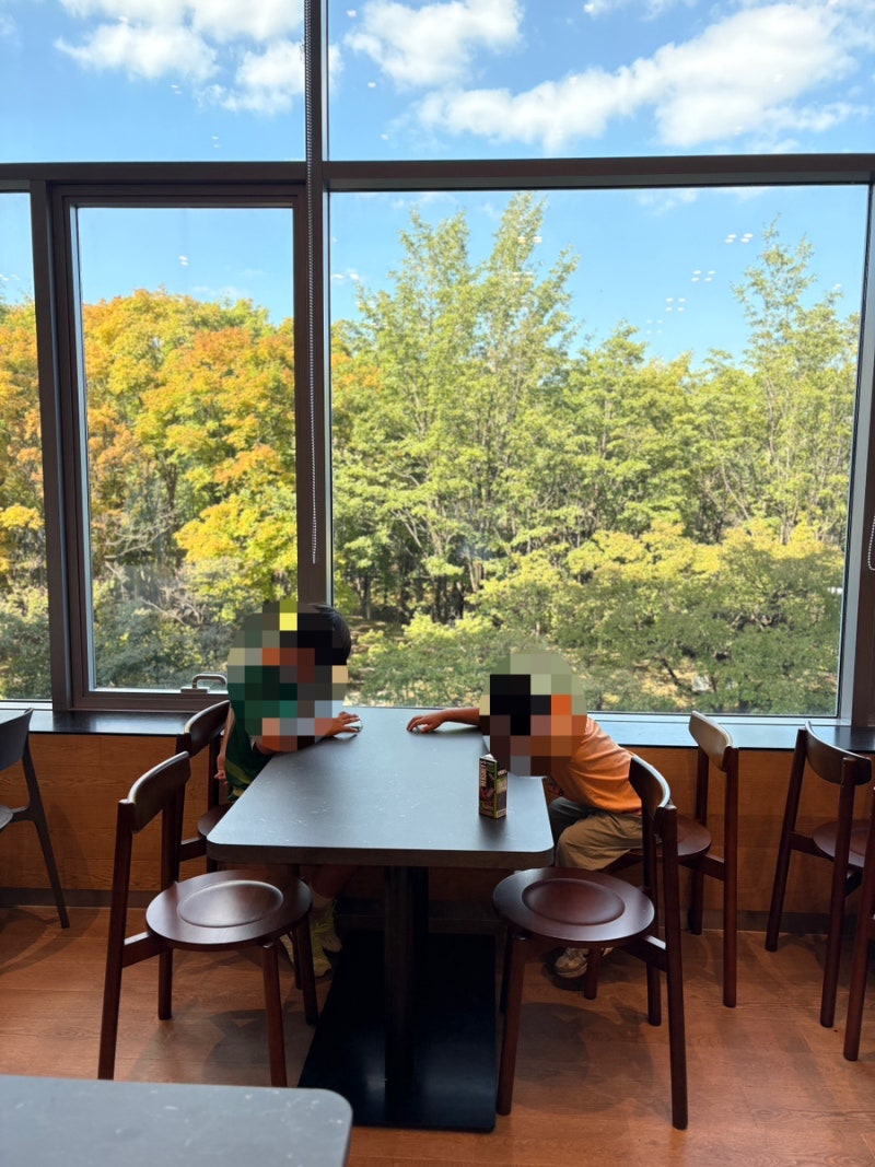 통창 뷰가 멋진 국립중앙박물관 맛집 푸드코트 한식미관 국립중앙박물관점