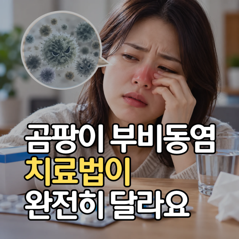 부비동염 항생제 아무리 먹어도 효과 없다면? 곰팡이가 원인인지 확인하세요.