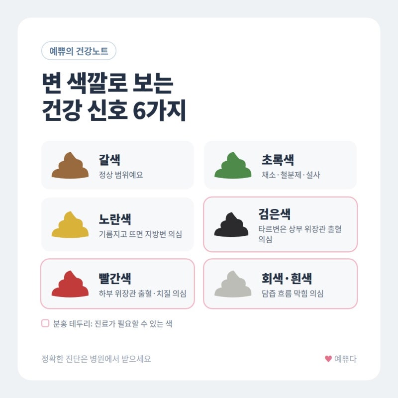 [예쀼의 건강노트] 변 색깔 건강 신호, 검은변·혈변 구분법