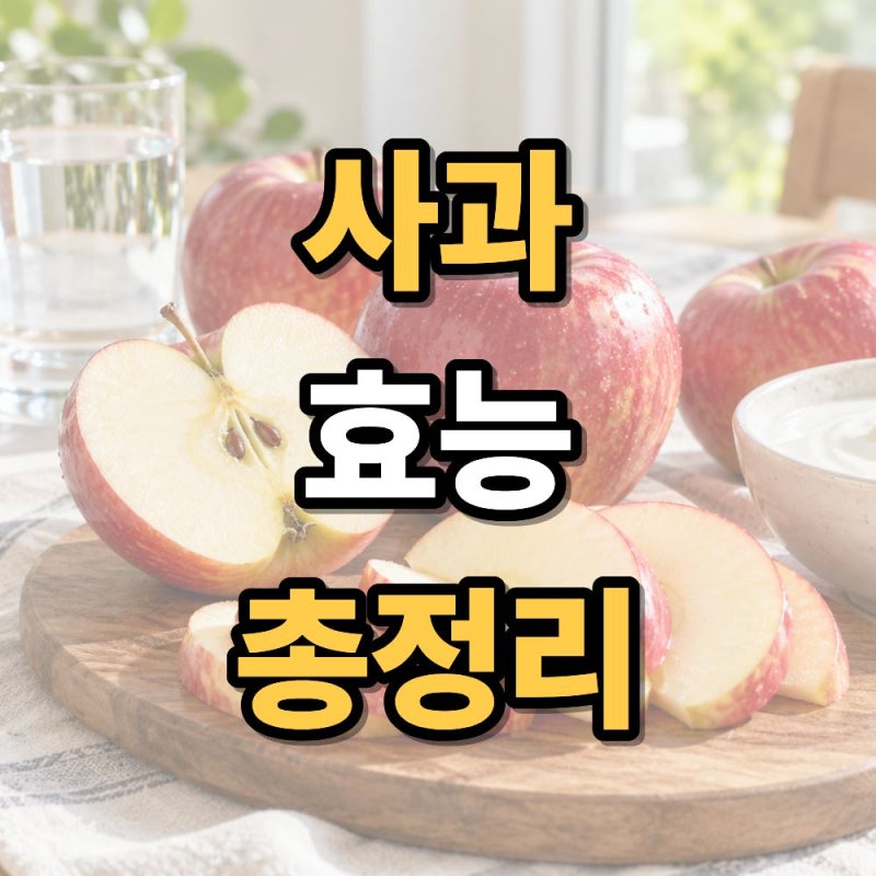 사과 효능 총정리 아침 사과와 껍질 효능까지 알아보기