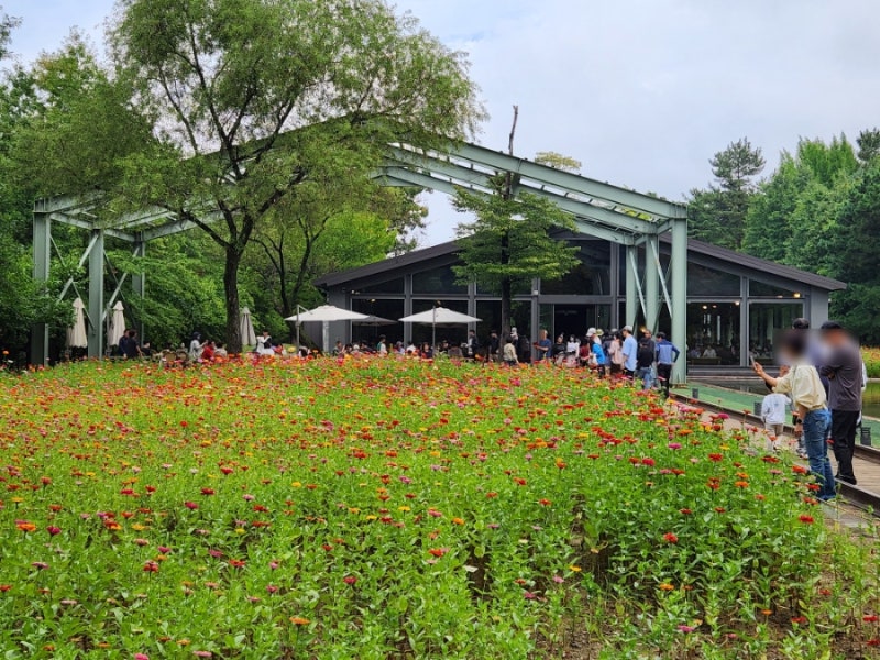 【慶北漆谷】值得一去的地方：全國最大86萬坪私人庭園！「加山樹皮亞」粉黛亂子草、山茶花盛開，入場...