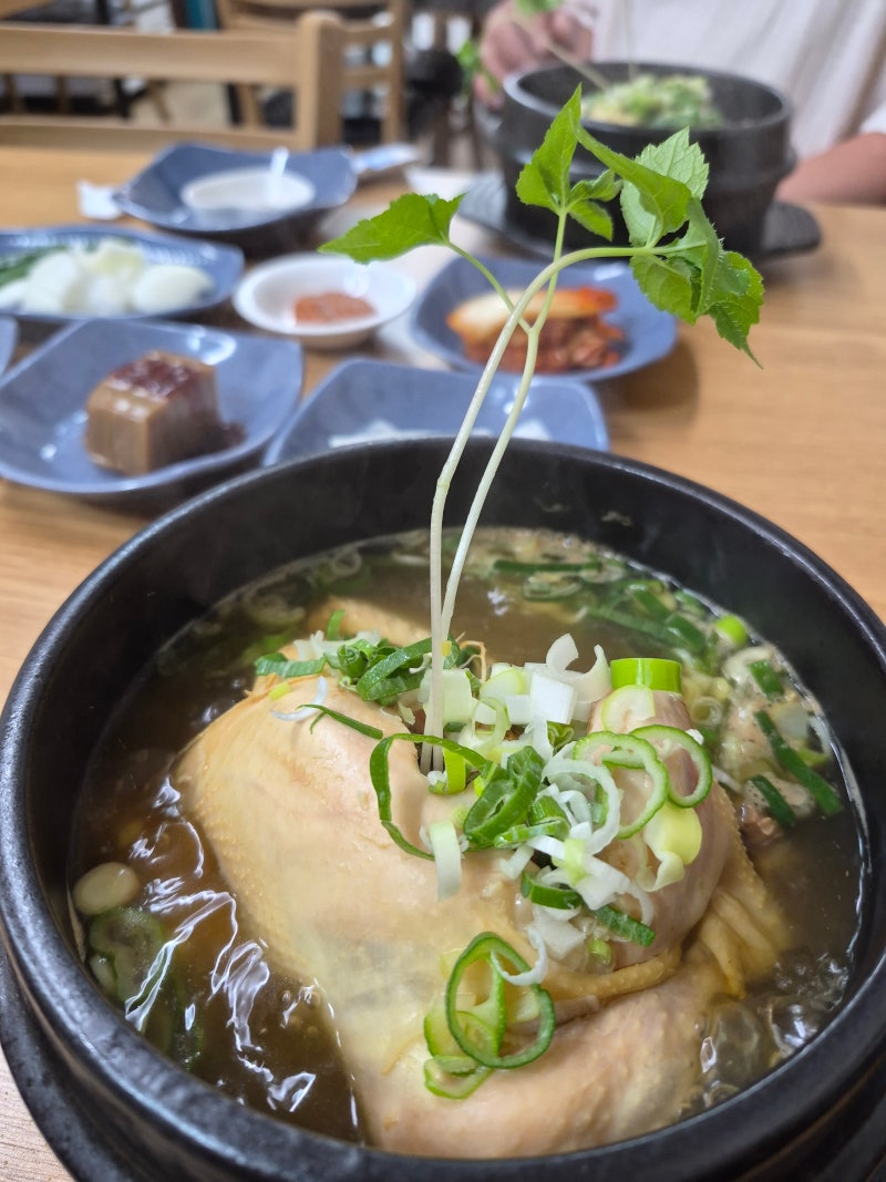 행궁동 맛집｜수원삼계탕에서 든든하게 점심 먹고 온 후기