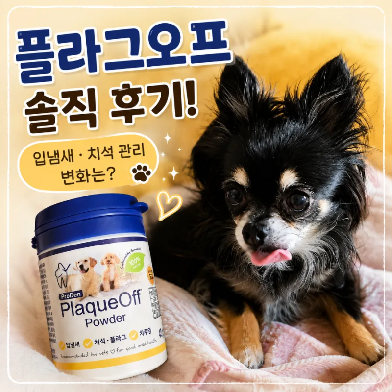 강아지 플라그오프 한 달 사용 후기 (치석 변화와 급여를 중단하게 된 이유)