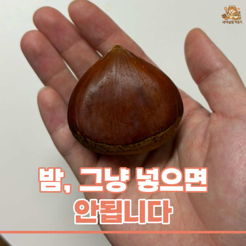 군밤 에어프라이 몇 분 돌려야 할까… 시간·온도보다 먼저 볼 “이것”