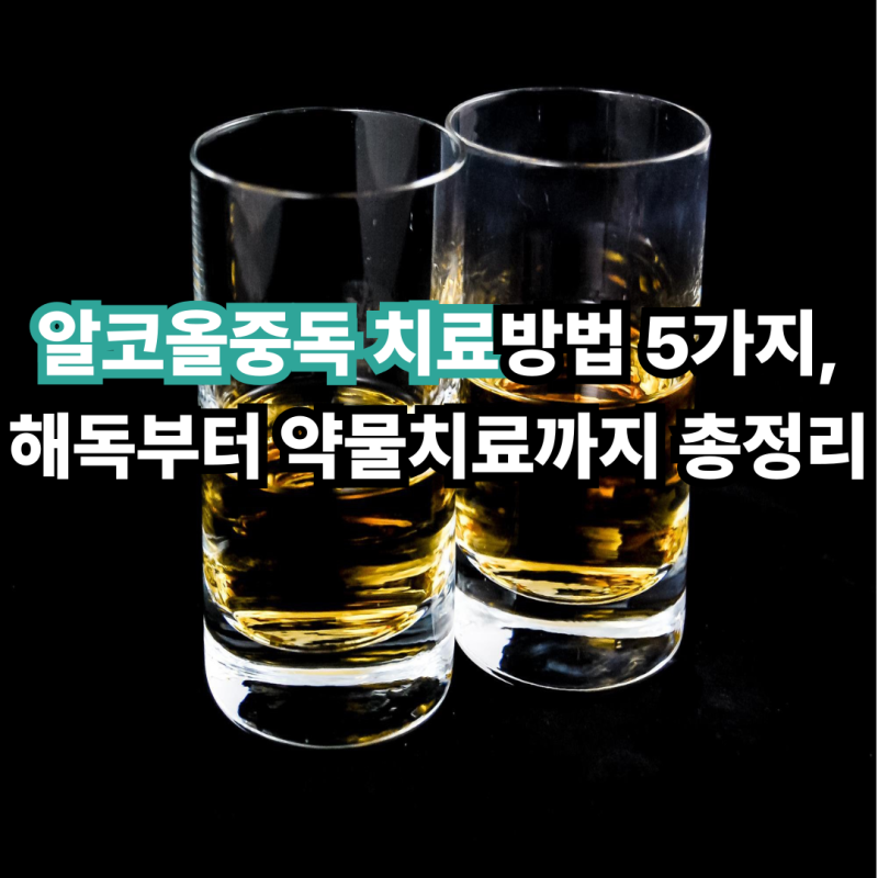 알코올중독 치료방법 5가지, 해독부터 약물치료까지 총정리
