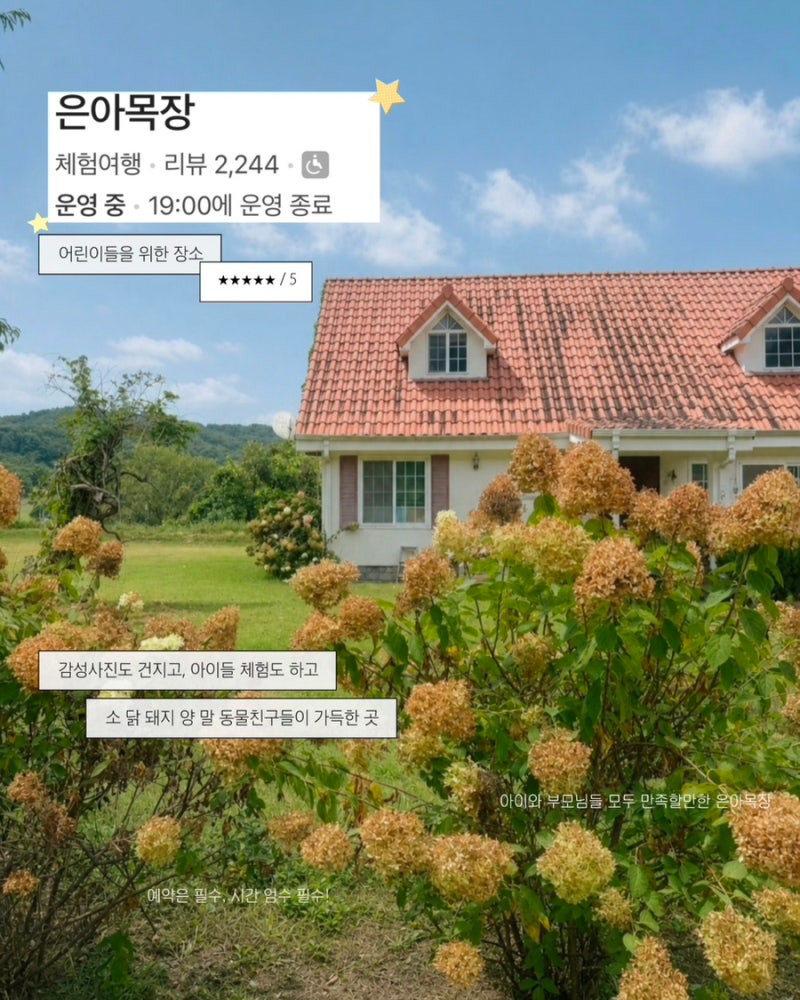 여주 은아목장 ✱ 낙농체험, 피자만들기 체험이 가능한 여주 아이랑 가볼만한곳