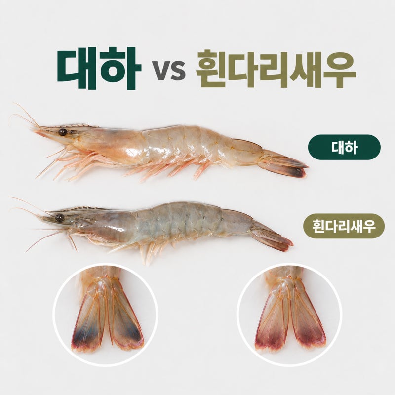 대하 흰다리새우 차이 맛 비교, 제철 시기 언제?