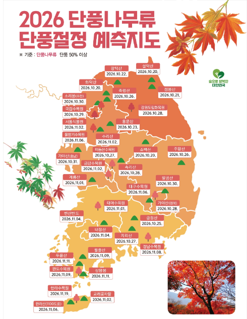 2026년 단풍지도 총정리! 전국 단풍 절정시기와 명소 한눈에 보기