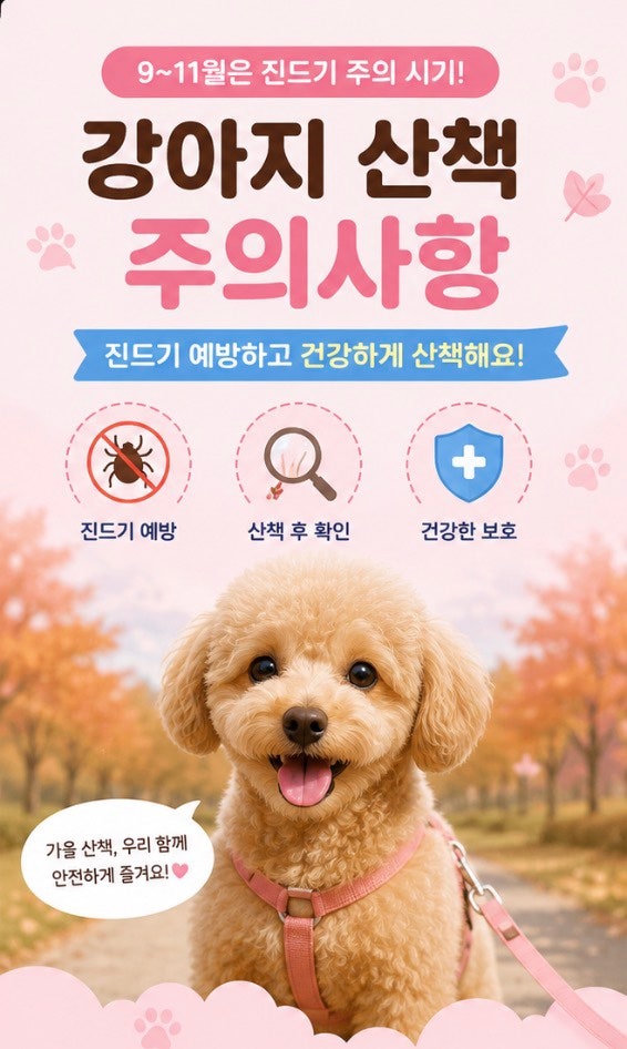 9~11월 강아지 진드기 주의! 가을 산책 전 꼭 알아야 할 예방법