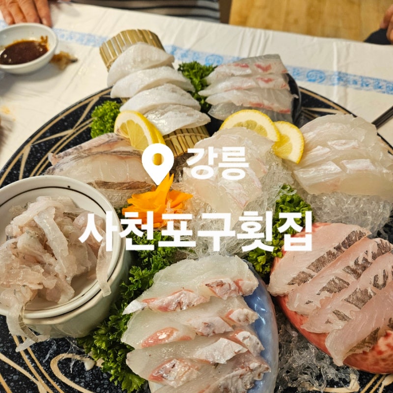 [강릉] 사천포구횟집 : 애견동반 가능한 사천해번 횟집 , 모둠회 3인 내돈내산 후기