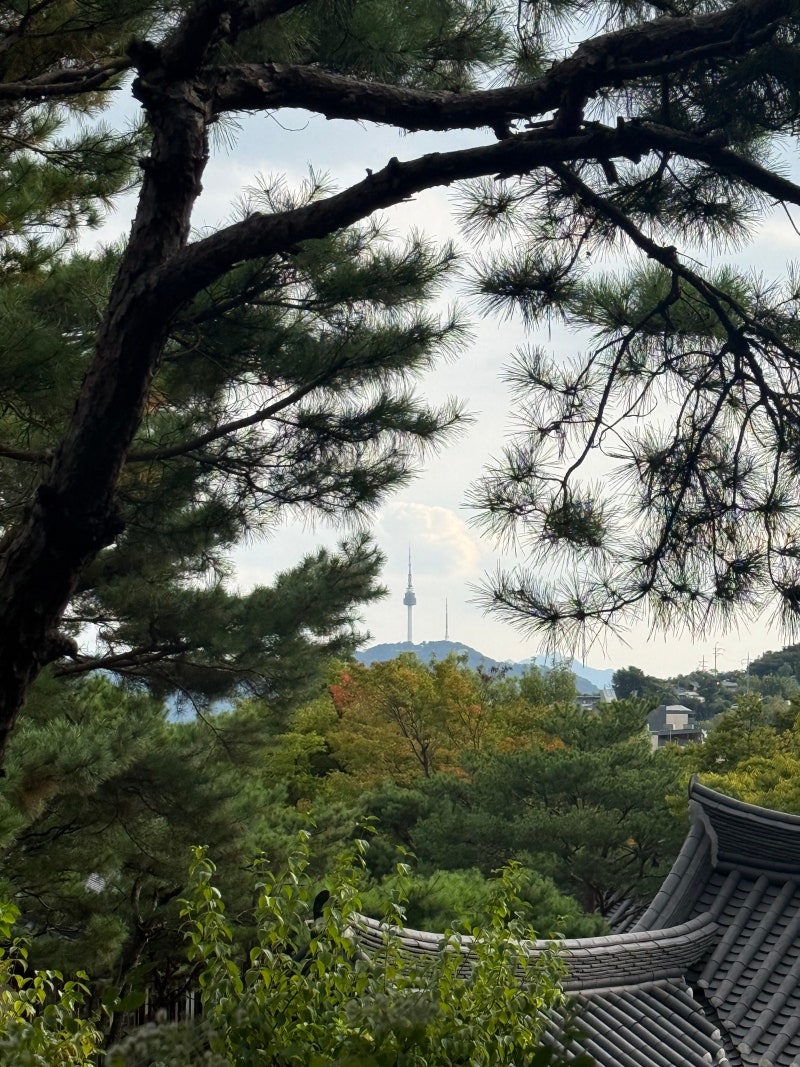 성북동 데이트코스 : 길상사 꽃무릇, 너의냠냠버거, 엽서가게까지