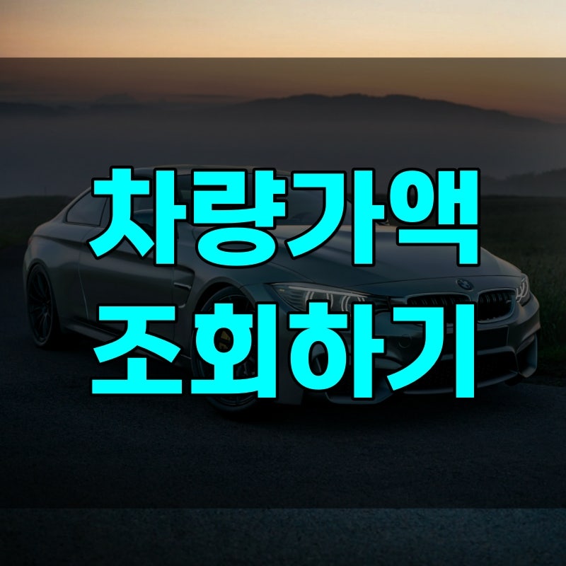 보험개발원 차량가액 조회하기, 같은 차인데 LH는 통과하고 기초연금은 떨어지는 이유