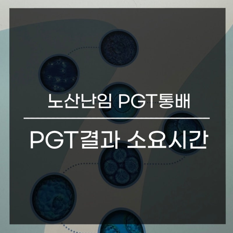 노산난임 시험관 PGT 결과 나오는 시간, 모자이크 배아 이식가능여부