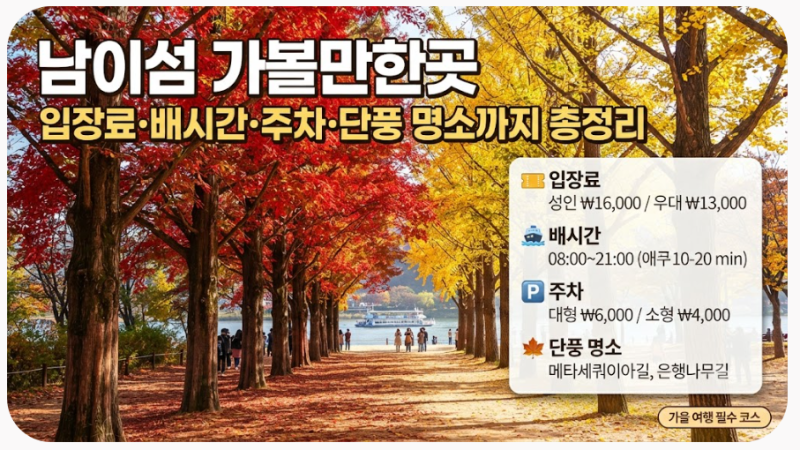 남이섬 가볼만한곳｜입장료·배시간·주차·단풍 명소까지 총정리