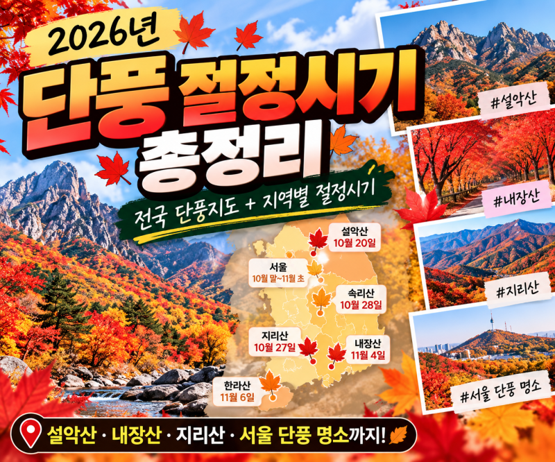 2026 단풍 절정시기 총정리 설악산·지리산·내장산·서울, 전국 단풍지도까지!