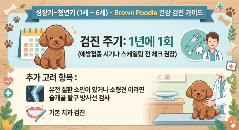 강아지 건강검진 주기와 기본 항목 & 노견 필수 추가 검사 총정리