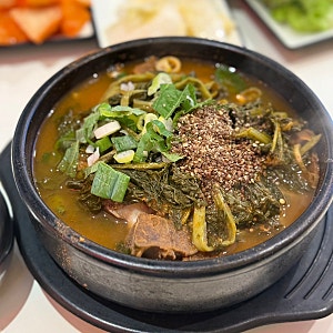 광화문 맛집 족발야시장 무청감자탕, 점심에는 뼈해장국 저녁에는 족발