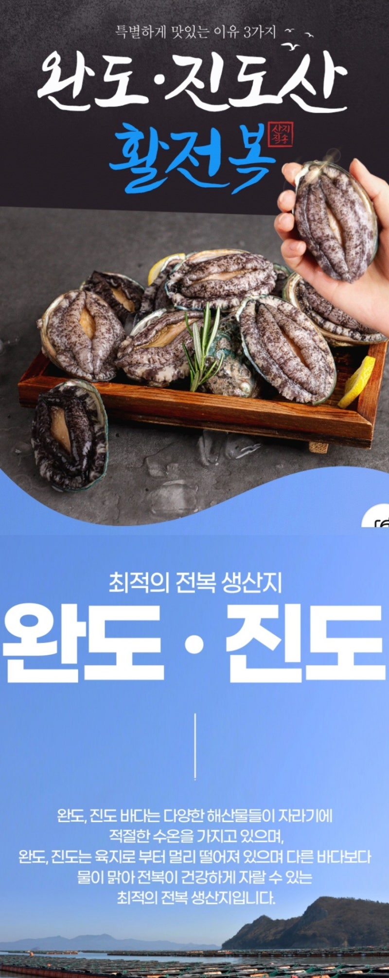 활전복 선물세트 추천) 산지직송 완도전복 1kg 산소포장 (손질칼 포함)