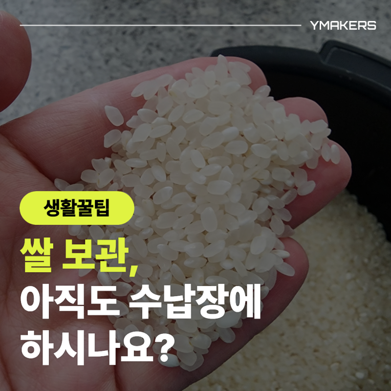 쌀 보관, 주방 수납장에 그냥 두면 곰팡이 핍니다