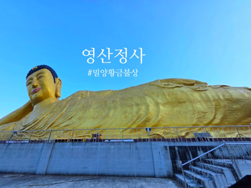 밀양 사찰 세계 최대규모 와불상이 있는 영산정사 황금불상
