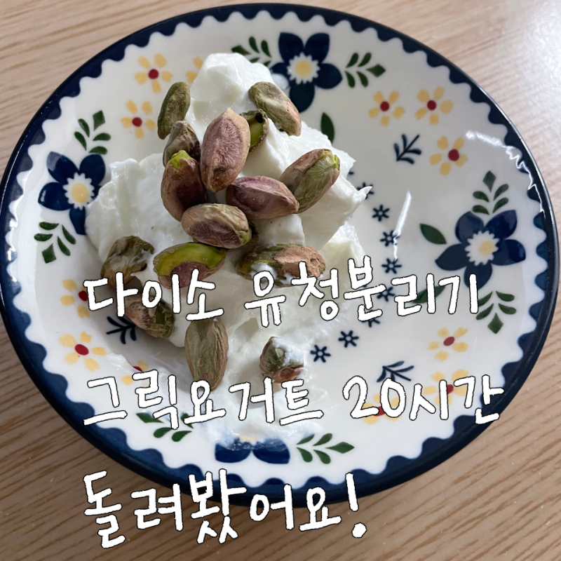 다이소 유청분리기로 그릭요거트 만들기｜예신 다이어트 식단