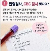 빈혈검사 CBC 검사 맞나요? "혈액검사 항목" WBC·RBC·Hb·Hct 쉽게 정리!