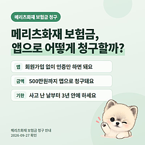 메리츠화재 보험금 청구 방법 2026, 앱으로 500만원까지 청구하는 순서와 통원·입원 필요서류