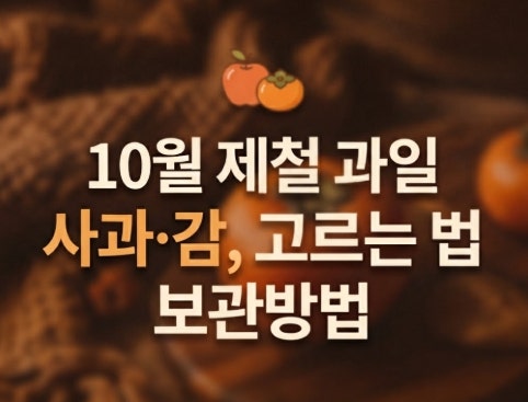 10월 제철 과일 사과·감, 맛있는 것 고르는 법과 오래 보관하는 방법
